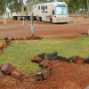 Отель Meekatharra Accommodation Centre - Campsite, фото 20