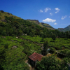 Отель Meghdoot Resorts, фото 14