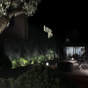 Отель Daric Hotels, фото 7