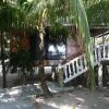 Отель Coconut Tree West Bay, фото 30