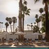 Отель Dive Palm Springs, фото 12
