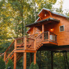 Отель Cricket Hill Treehouse Cabins, фото 8