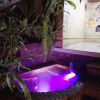 Отель Ubud Dream Homestay, фото 9