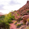 Отель Moab Springs Ranch, фото 39