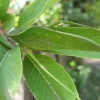 Отель Terra Selva Hospedaje, фото 8