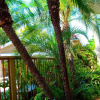 Отель Coconut Grove Beach Resort Suites 5 & 6, фото 28