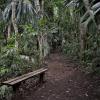 Отель Belize Botanic Gardens' Cottages and Jungle Guest House, фото 8