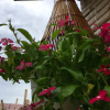 Отель Ocean View Homestay, фото 9