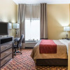 Отель Comfort Inn, фото 5