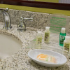 Отель Holiday Inn FRENCH QUARTER-CHATEAU LEMOYNE, an IHG Hotel, фото 11