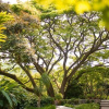 Отель Rancho La Joya, фото 23