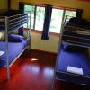 Отель Jackaroo Treehouse Mission Beach - Hostel, фото 5