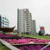 Отель Landmark Suites Hotel, фото 21