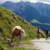 Отель Garni Tirol, фото 15