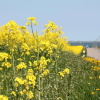 Отель Appealing Apartment in Rerik Germany near Beach, фото 15