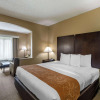 Отель Comfort Suites The Colony - Plano West, фото 5