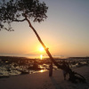 Отель Cross Bill Beach Resort-Havelock, фото 3