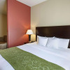 Отель Comfort Suites Medical Center near Six Flags, фото 23