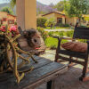 Отель Rancho La Esmeralda, фото 12