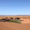Отель L'Oasis Berbère, фото 17