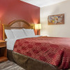 Отель Econo Lodge, фото 41