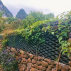 Отель Yangshuo Xingping Li River Inn, фото 3