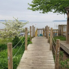 Отель Brio Beach Inn, фото 13