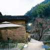 Отель Songyang Taoli Fenfang Homestay, фото 9