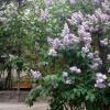 Отель Peralba, фото 12