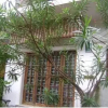 Отель Johnson Homestay, фото 1