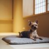 Отель Yuhi House Kyoto Dog Friendly, фото 13