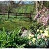 Отель Wood Cottage Bed & Breakfast, фото 10