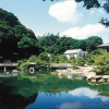 Отель Tokyo Dai-Ichi Hotel Shimonoseki, фото 4