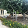 Отель Tenuta Castelle, фото 25