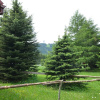 Отель Nice Holiday Home With Fireplace in the Ore Mountains Near the Chairlift, фото 4