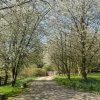 Отель Luxury Chilterns Hideaway, Easy Access to London, фото 14
