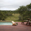 Отель Bush Lodge – Amakhala Game Reserve, фото 11