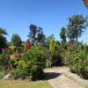 Отель Chambres d'hotes, Le Manoir de Neuville, фото 8
