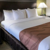 Отель Quality Inn & Suites Denver International Airport, фото 21