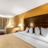 Отель Quality Inn & Suites, фото 15