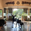 Отель Irai Safari Retreat, фото 3