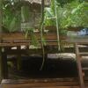 Отель Casa de Selva Uaco, фото 16