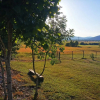 Отель Country House La Sierra, фото 13