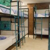 Отель Bunky Monkey - Hostel, фото 10