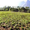 Отель Lukla Airport Resort, Lukla, фото 8