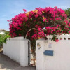 Отель Villa Bougainvillea Aruba, фото 16