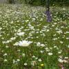 Отель Schweizerhof Engelberg, фото 1