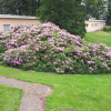 Отель Nakkebølle, фото 8
