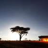 Отель Pumzika Luxury Safari Camp - East Africa Camps, фото 1