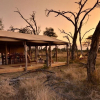 Отель The Hide Safari Camp, фото 17